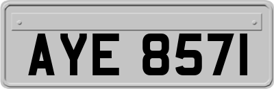 AYE8571
