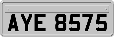 AYE8575
