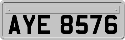 AYE8576