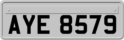 AYE8579
