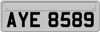 AYE8589