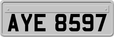 AYE8597