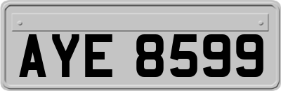 AYE8599