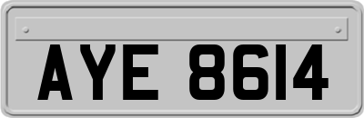 AYE8614
