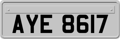 AYE8617