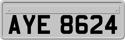 AYE8624