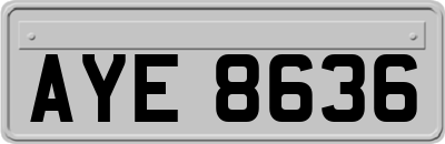 AYE8636