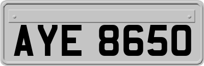 AYE8650