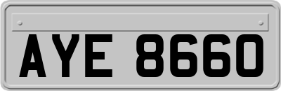 AYE8660