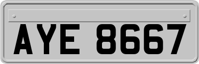 AYE8667