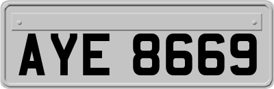AYE8669