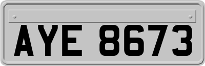 AYE8673