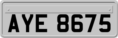 AYE8675