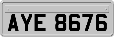 AYE8676