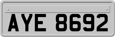 AYE8692