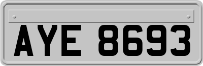 AYE8693