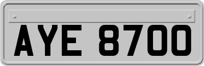 AYE8700