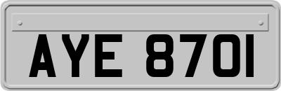 AYE8701