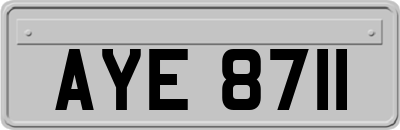AYE8711