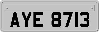 AYE8713
