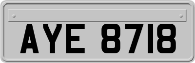 AYE8718