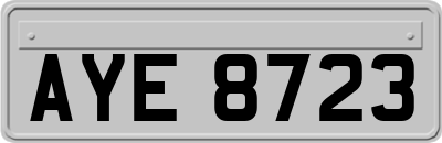 AYE8723