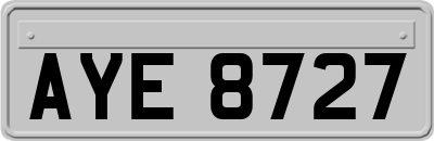 AYE8727