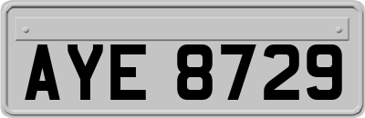 AYE8729
