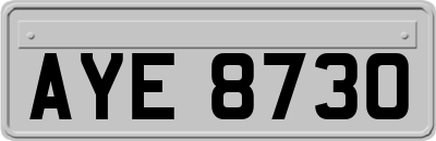AYE8730