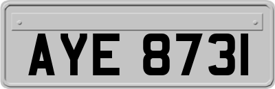 AYE8731