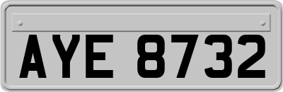 AYE8732