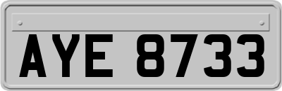 AYE8733