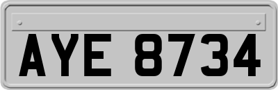 AYE8734
