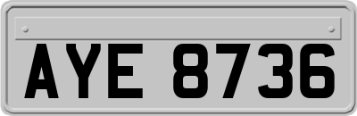 AYE8736