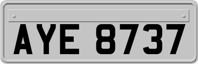 AYE8737