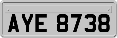AYE8738
