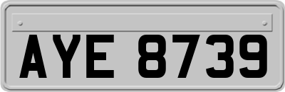 AYE8739