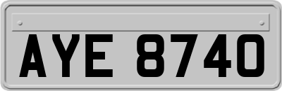 AYE8740