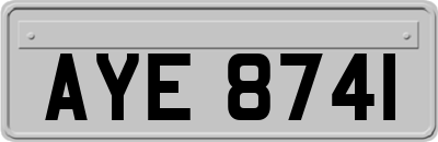 AYE8741