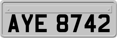 AYE8742