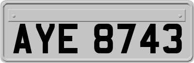 AYE8743