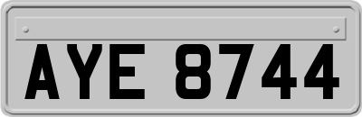 AYE8744