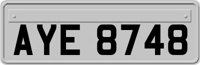 AYE8748