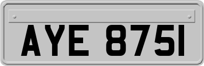 AYE8751