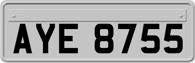 AYE8755