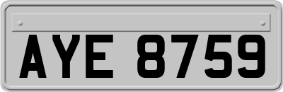 AYE8759