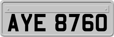 AYE8760