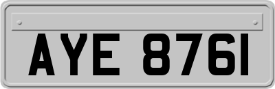AYE8761