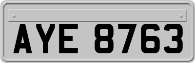 AYE8763