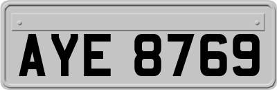 AYE8769